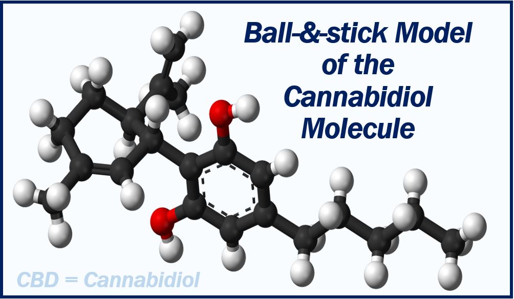 CBD molecule image 737373737