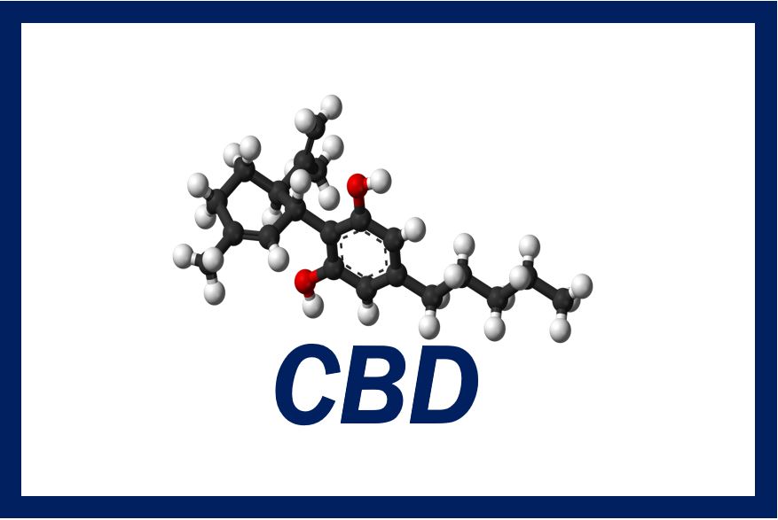 CBD molecule image THUMBNAIL 848948948