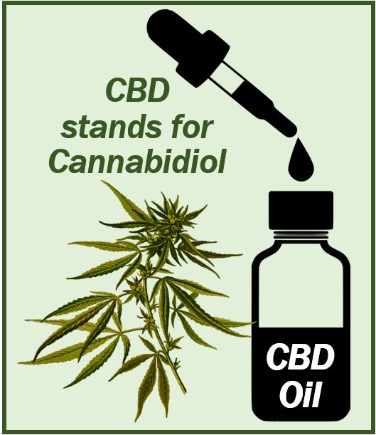 CBD oil image 494949494949494994