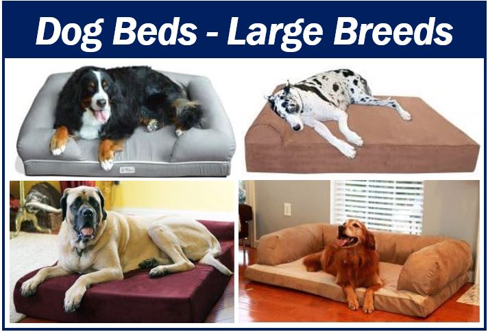 Dog bed large breeds image 444444