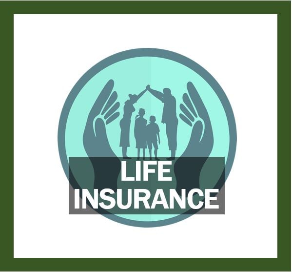 Life insurance thumbnail image 4949494