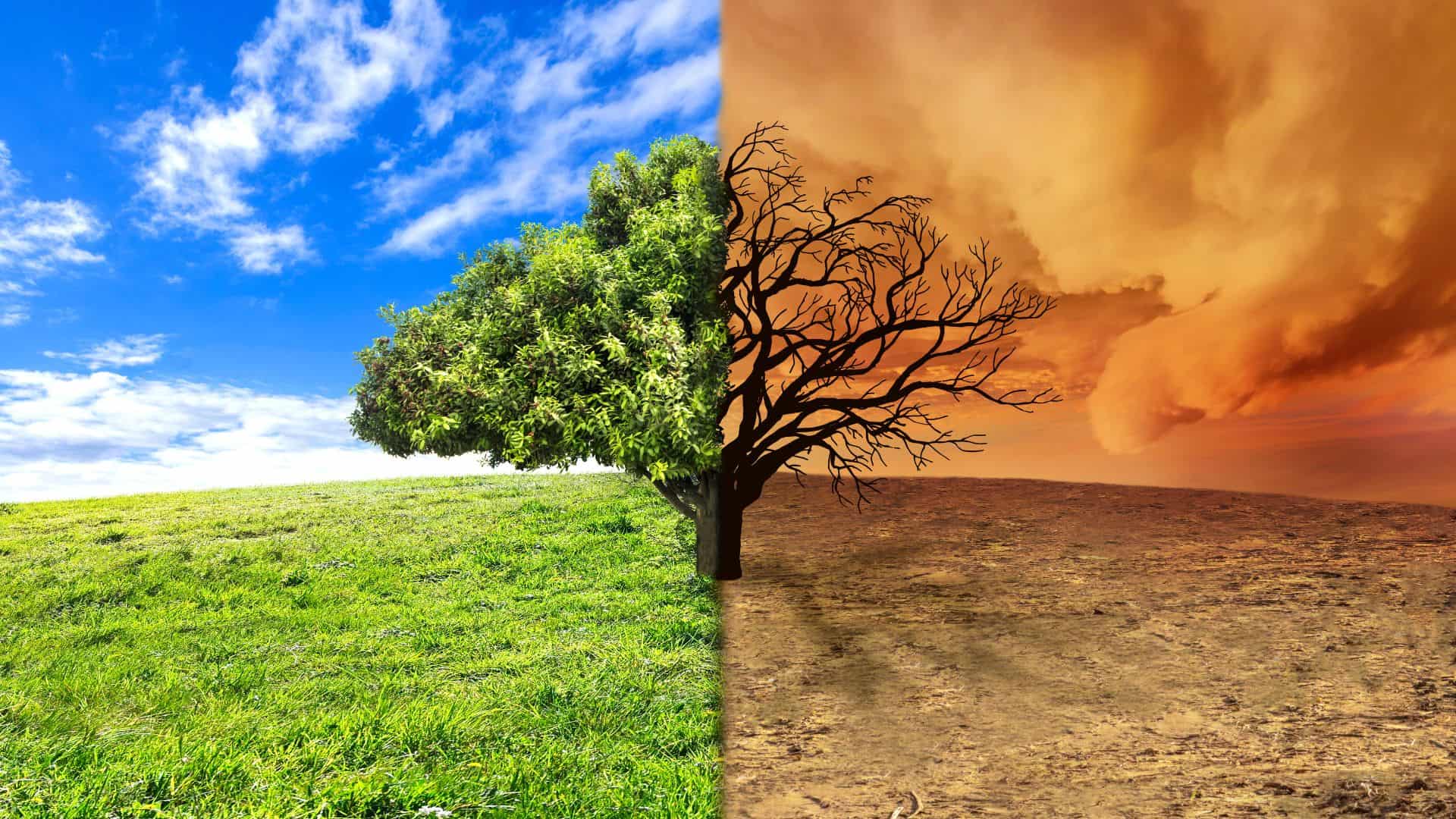 climate-change