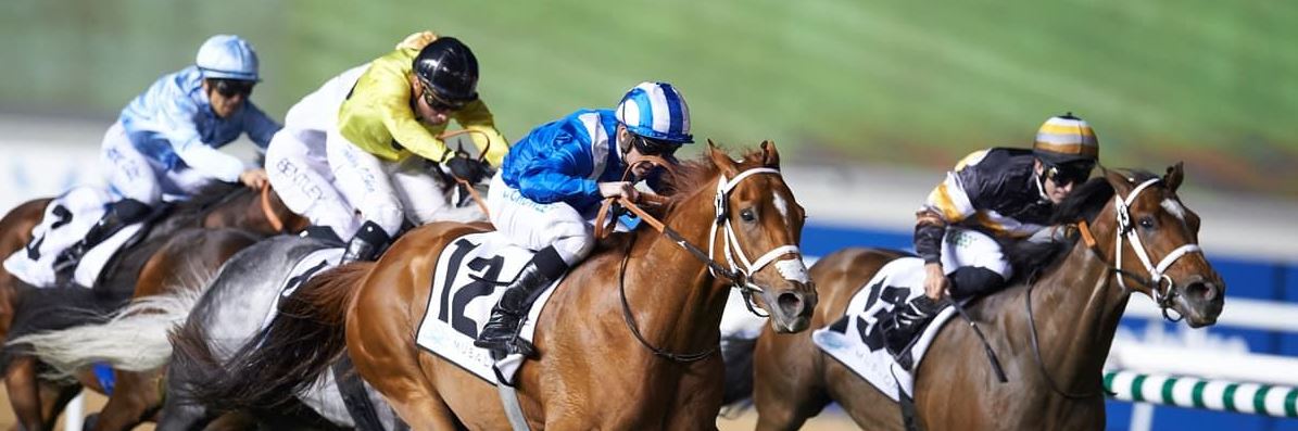 Dubai world cup 33333