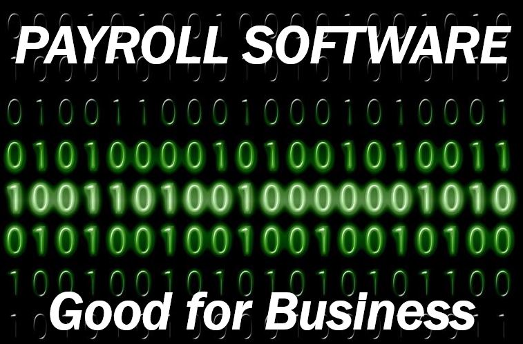Payroll management software image