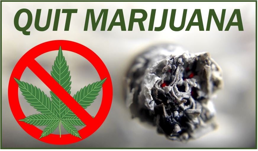 Quitting marijuana image 4938547