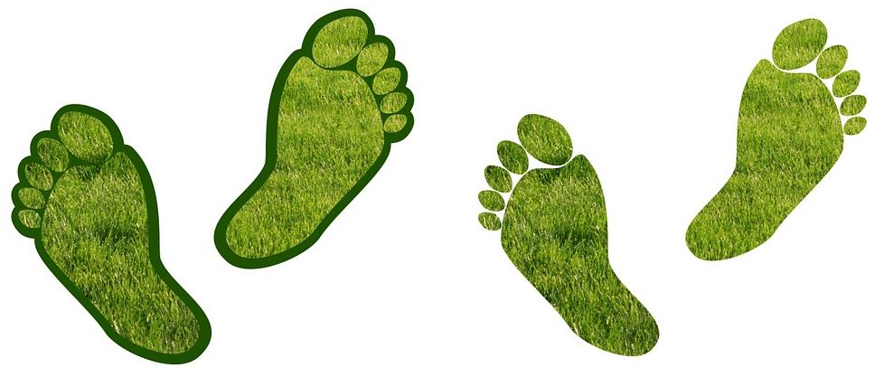 Reduce your companys carbon footprint image 343333