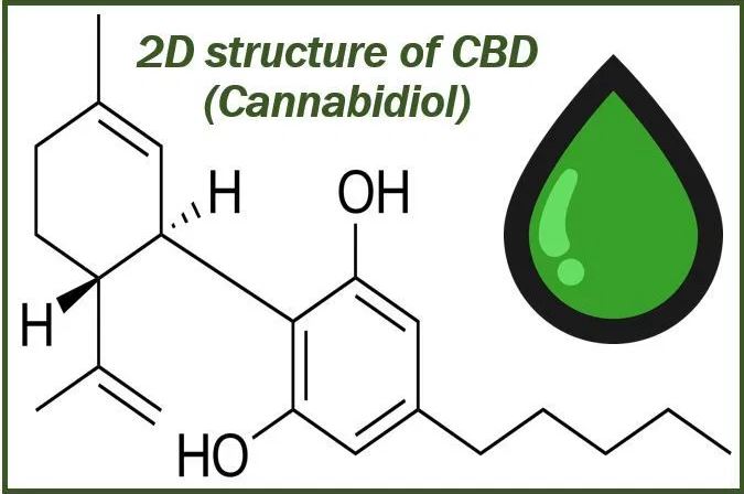 CBD products image 3ii3iii3