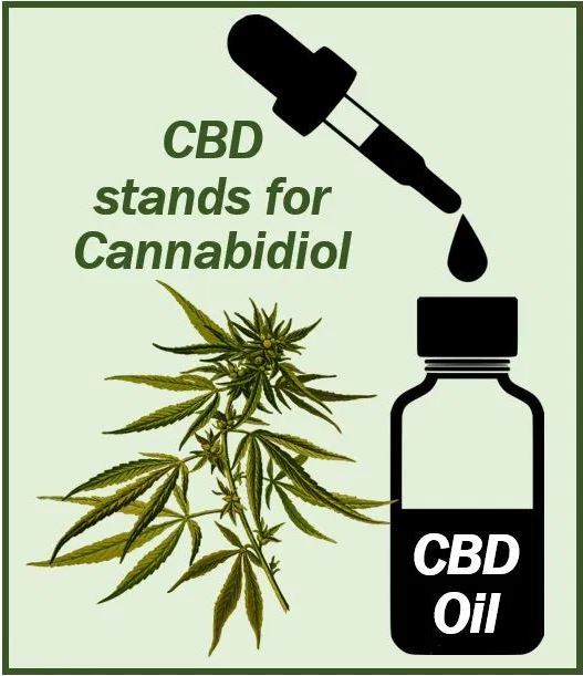 CBD products