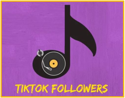 TikTok followers image 4993994993