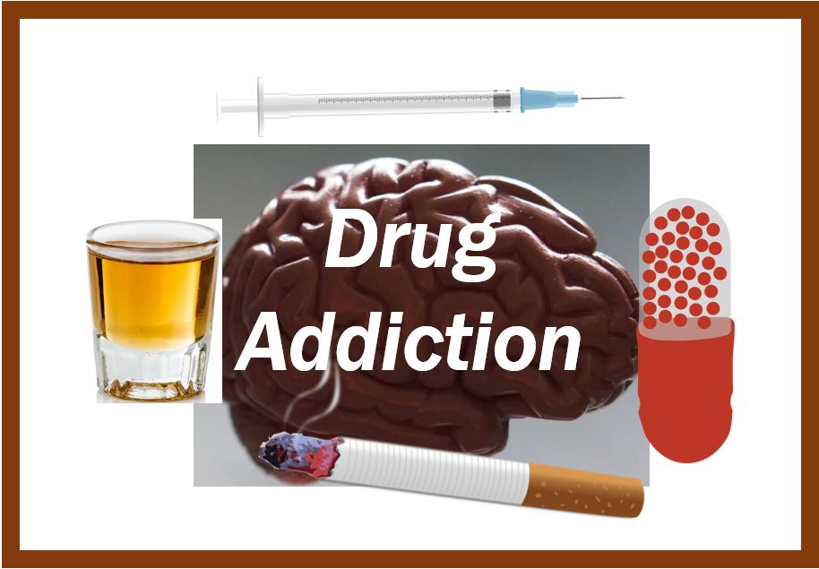 Addictive drugs brain effect thumbnail 3o330