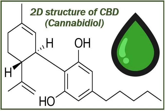 CBD image article on CannaOne 34433333