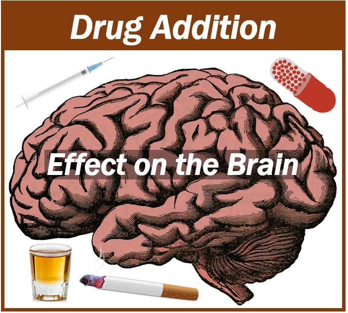 Drug addiction effect on the human brain image 3333k33333