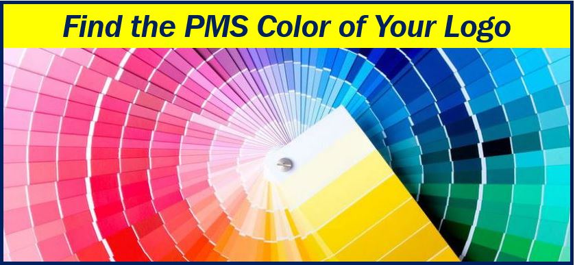 Find the PMS color of your logo image 322222