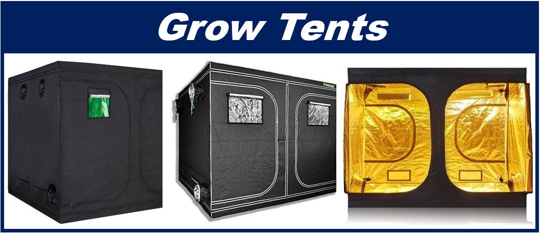 Grow tent article image 4399399399