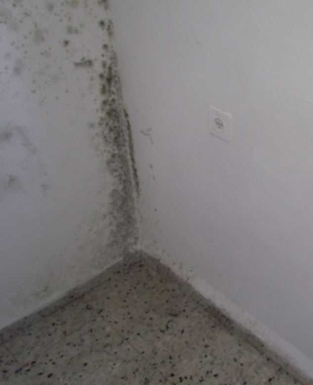 Moldy walls and floor 8ma