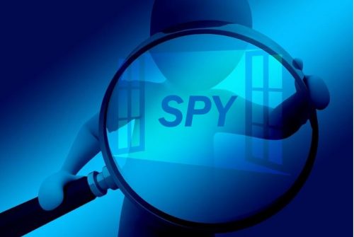 Spy - niche business 444