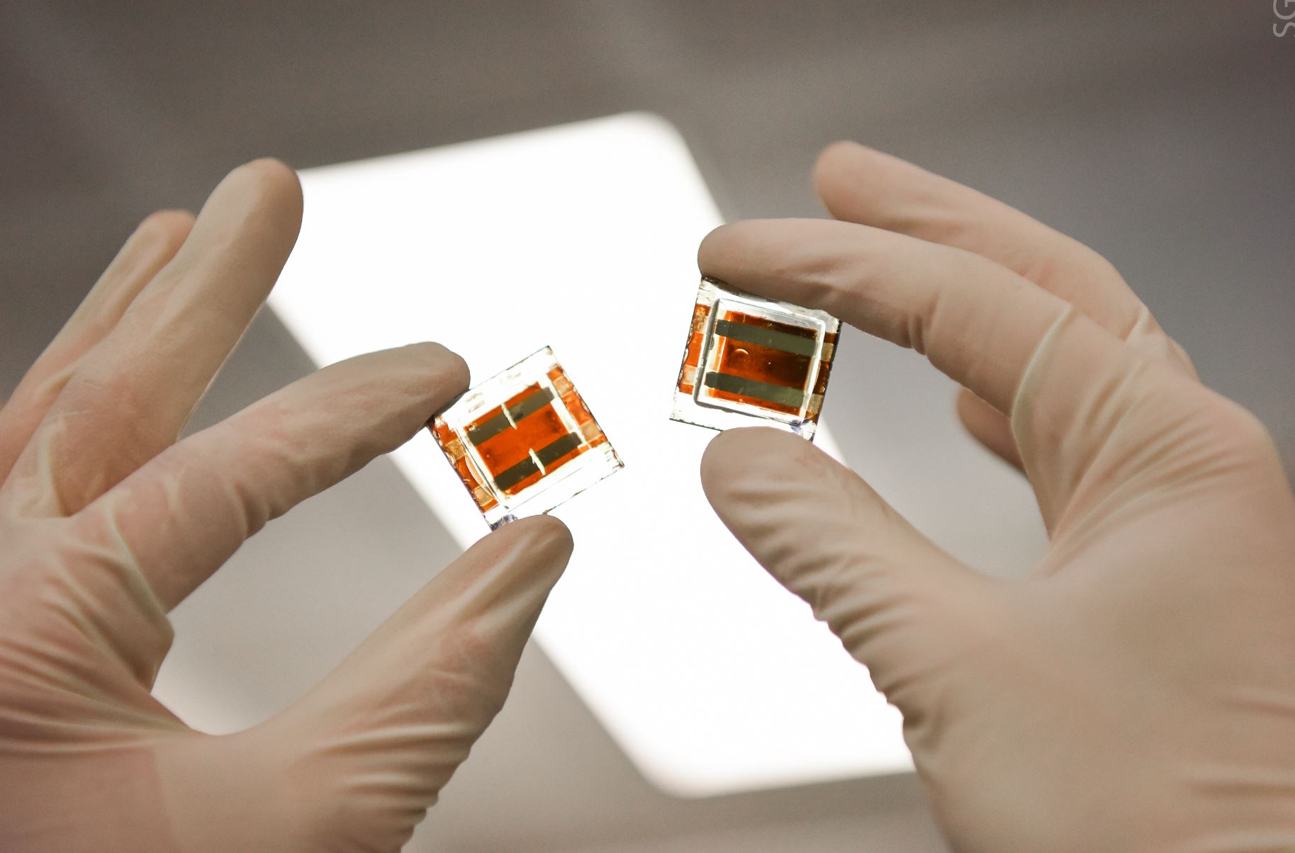 perovskite solar cells