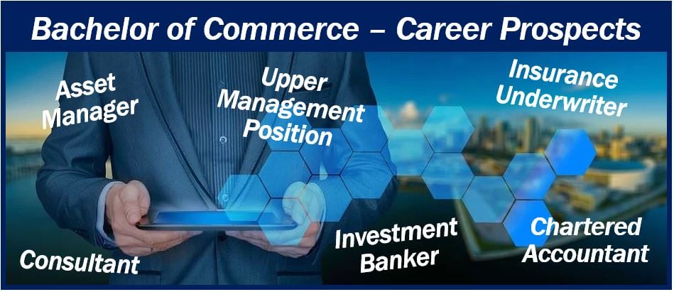 Bachelor of Commerce job prospects