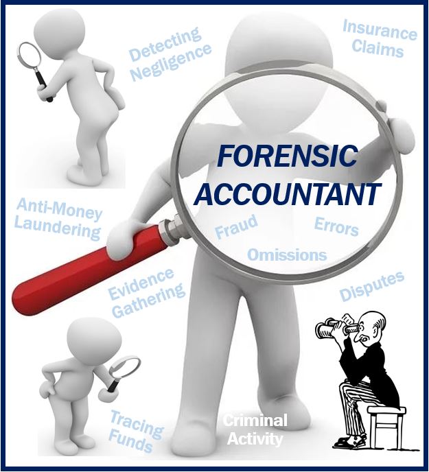 Forensic accountant image 4989489849849849849