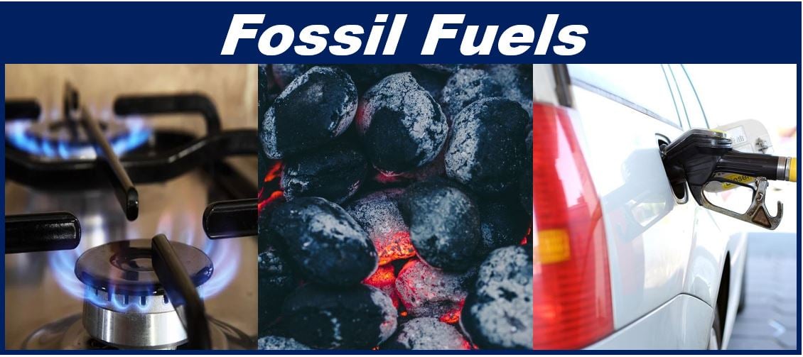 fossil fuels examples