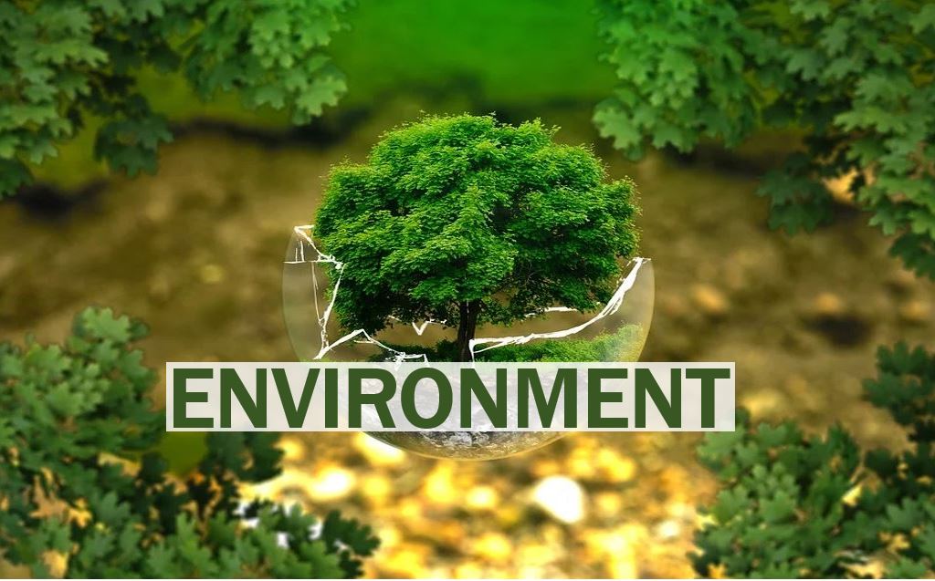 What is the environment? Definition and examples Market Business News