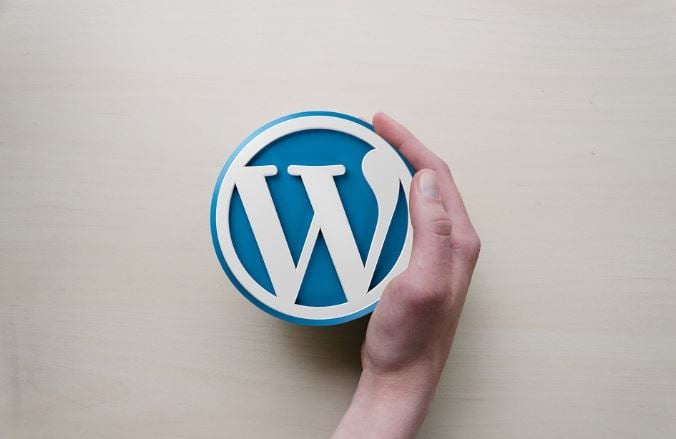 Why WordPress is so popular image bbbb333