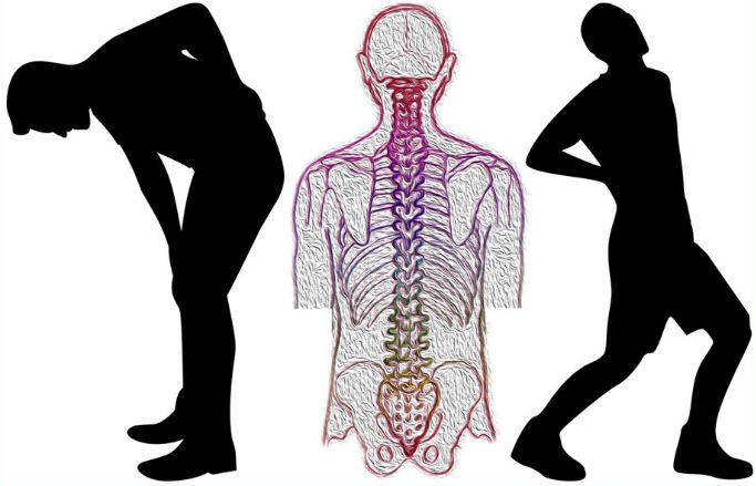 Bad back image - man and biology image