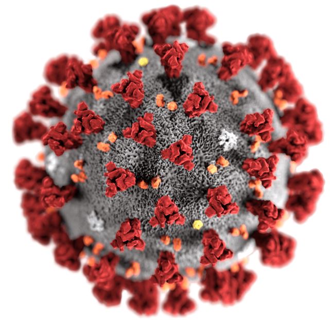 Coronavirus image 39929939493992939