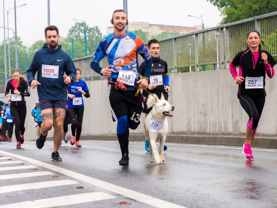 Essential gear for running - image of several people on a run