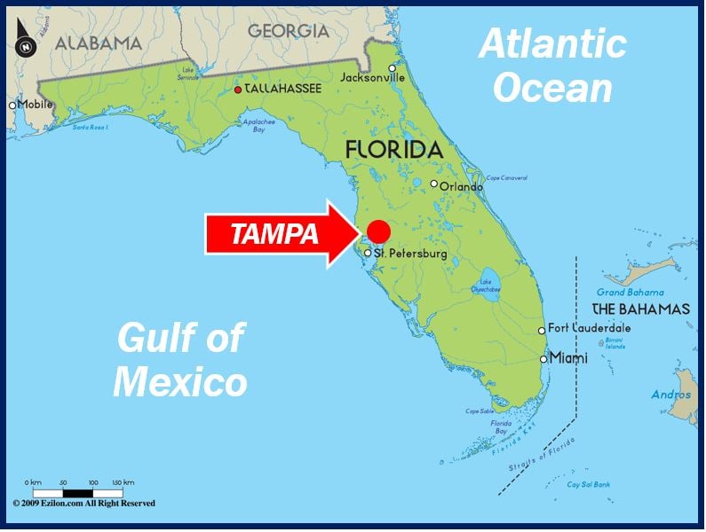 Reasons Tampa is great for business - map of Florida showing Tampa 33