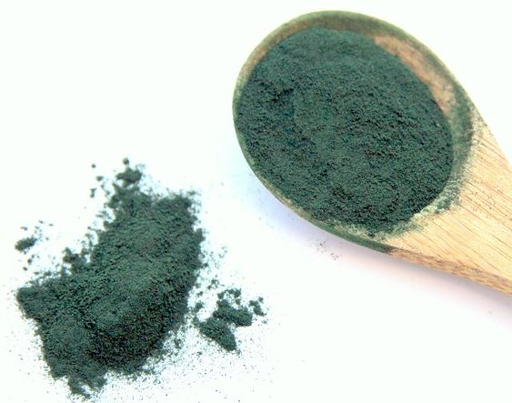 Spirulina image 3