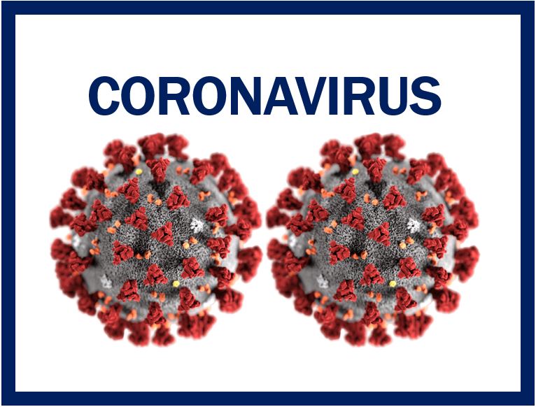 What is a coronavirus? Definition and examples - Market Business News