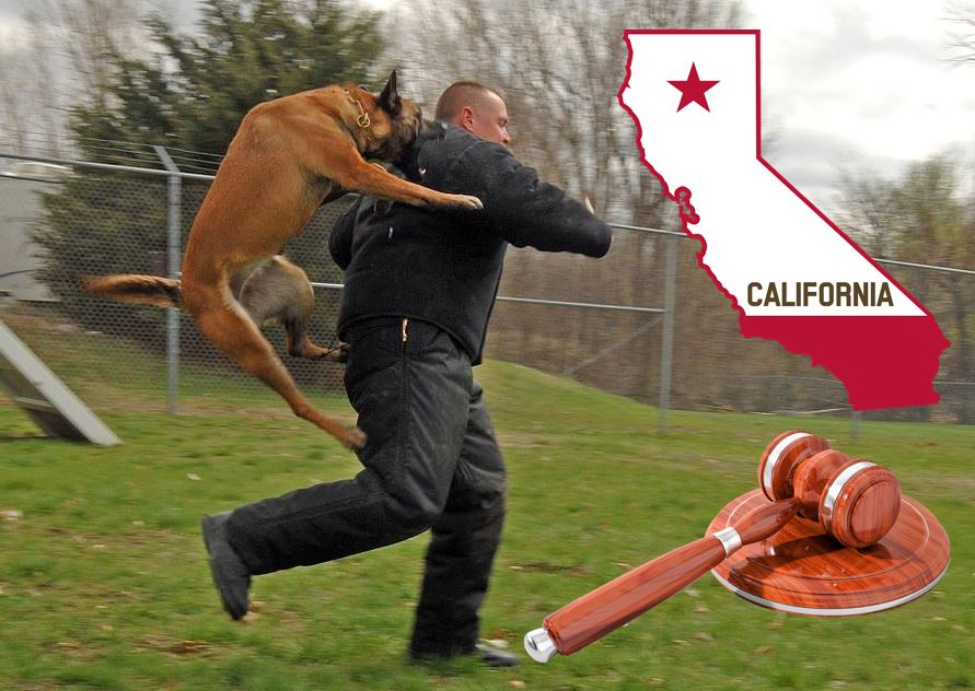California dog bite lawsuits image for article 3333