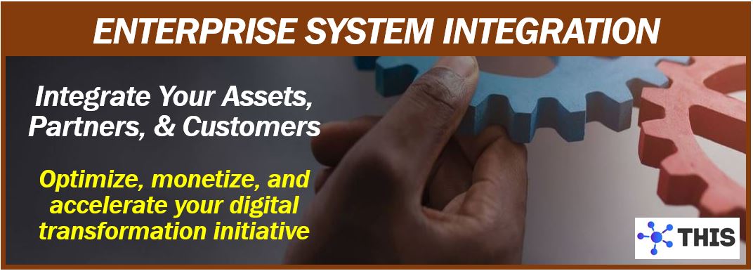 Enterprise System integration - image for article 1111143