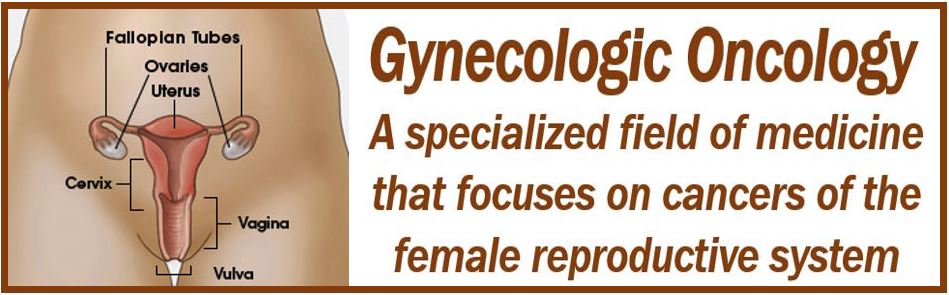 Gynecologic oncology image explaining what it is