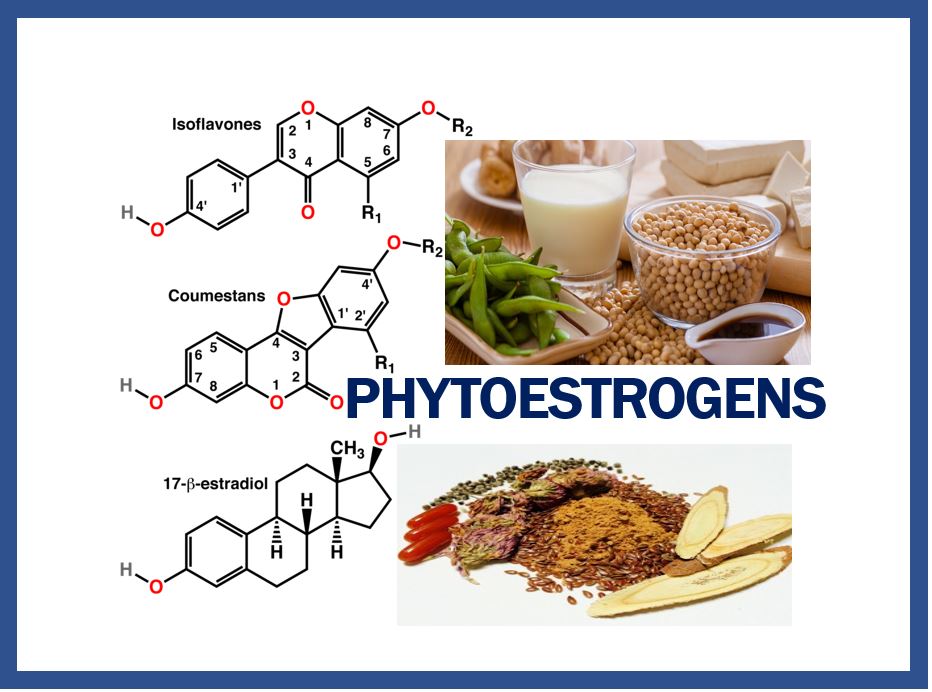 Hormones article - nutrition slant 3333