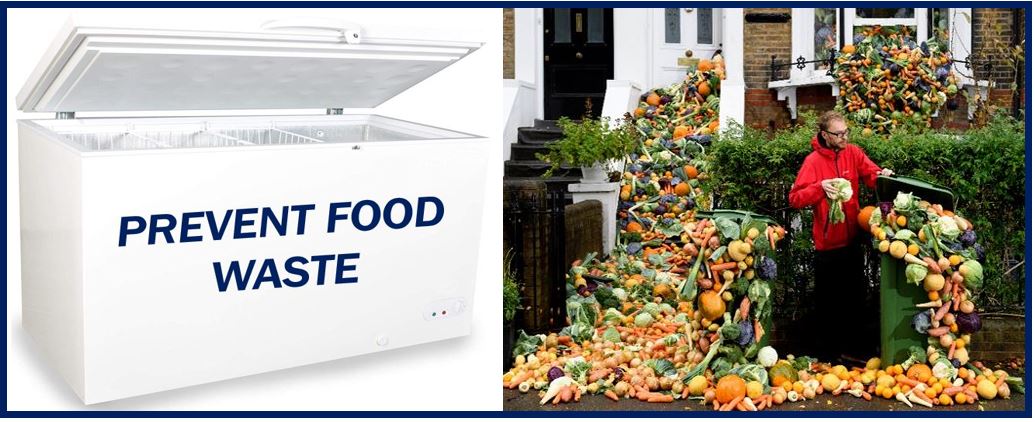Prevent food waste image for article - 333333