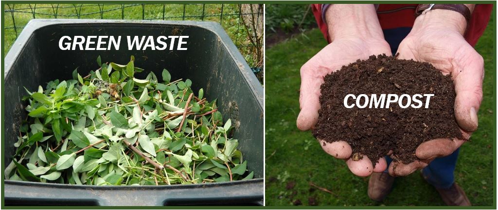 What happens to all that green waste - image for article 333