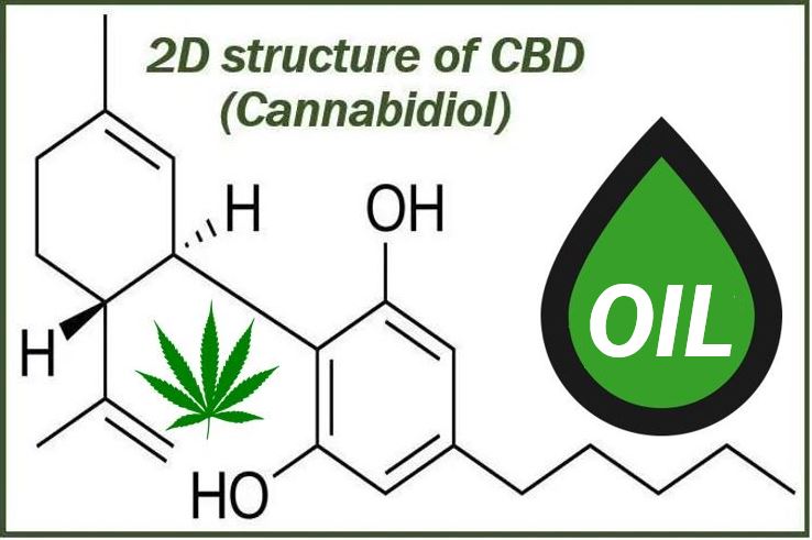 CBD - article on mental health