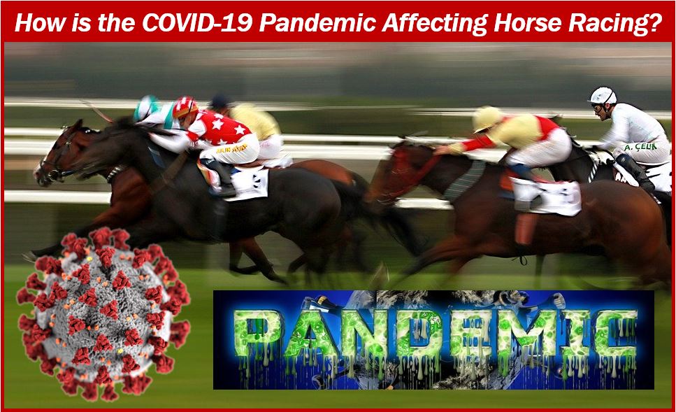 COVID-19 Impact on Horse Racing