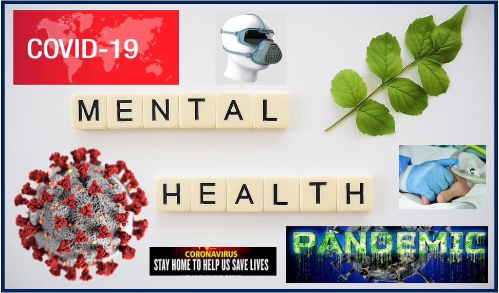 During the Pandemic - Your Mental Health 11