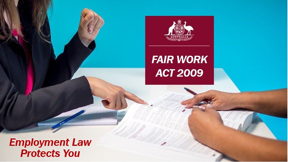 How Employment Law Protects You
