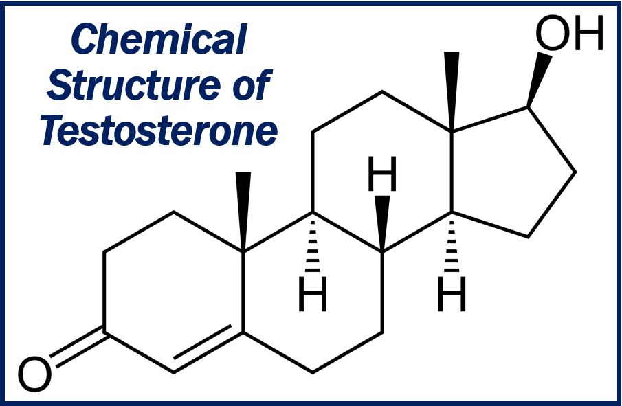 Image for article on testosterone therapy in men - 39929939