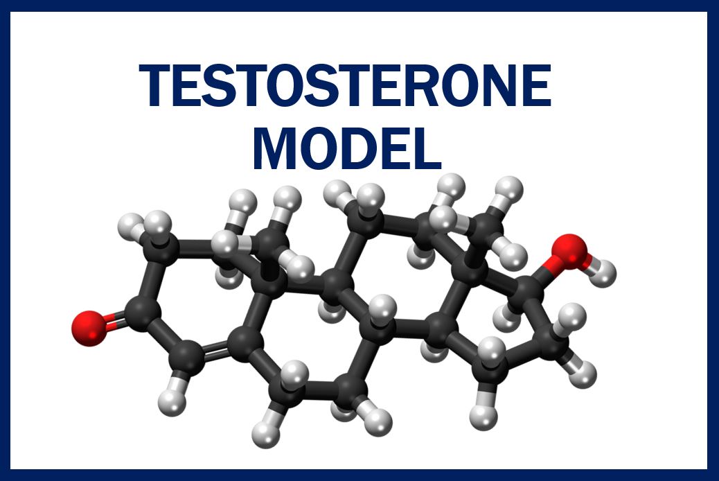 Testosterone therapy in Men - image for article 49939949