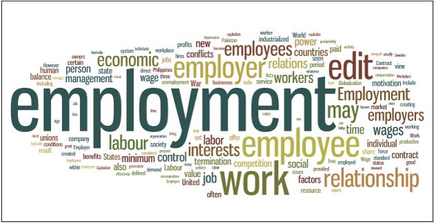 Gainful employment image for article - jumble of related words