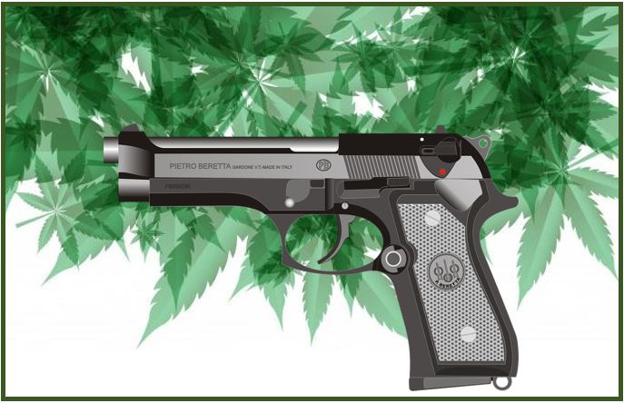 Marijuana Laws and Gun Ownership 11