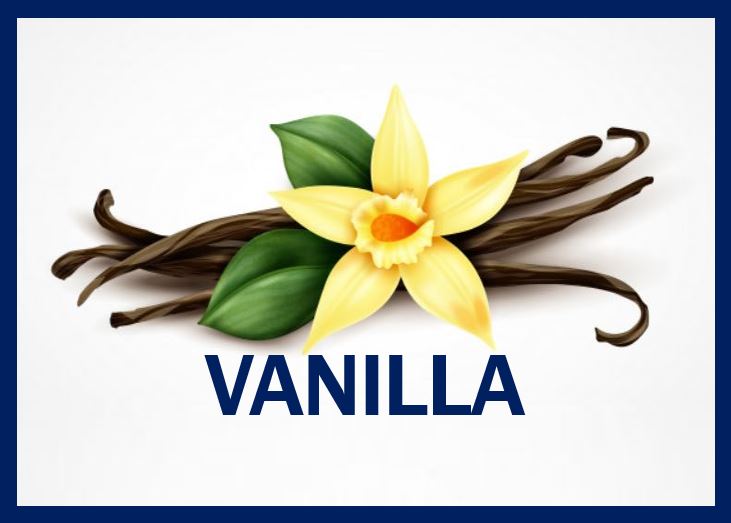 what-is-double-fold-vanilla-extract-market-business-news