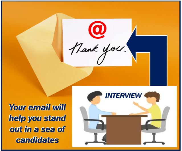 write a thank you email after interview - Image 111