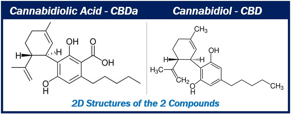 CBDa and Covid-19