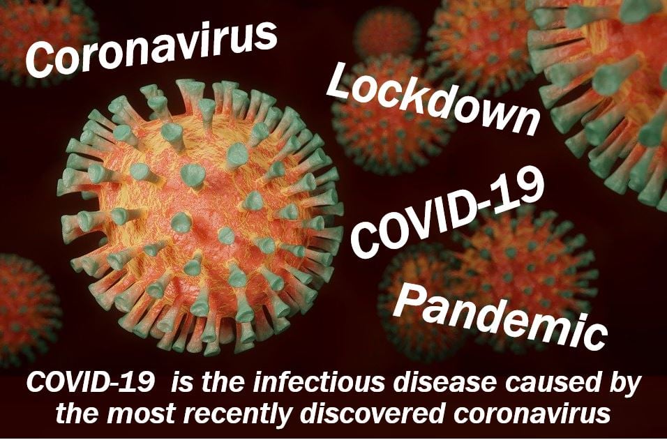 COVID-19 coronavirus article - 103240587